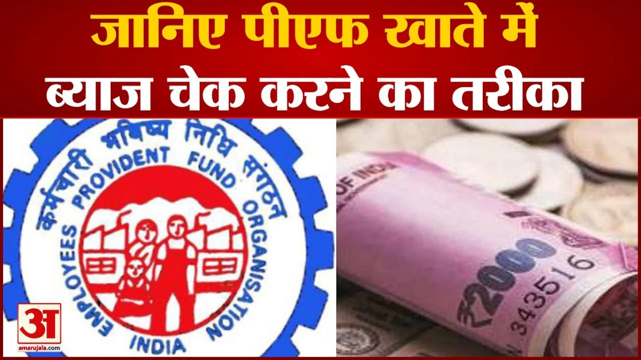 EPFO Interest Rate 2025