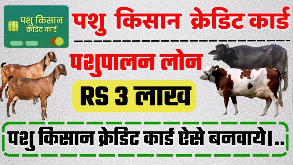 Pashu Kishan Credit Card 2025: पशुपालन के लिए अब मिलेगा ₹3 लाख तक का लोन, जानें पूरी जानकारी